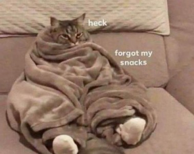 Gray and black tabby cat sat up on a chair wrapped in a blanket with his hind feet - wearing slippers - sticking out in front of him. Caption: Heck. Forgot my snacks.