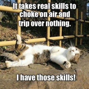 Photo of a gray and white cat laying on its back in the dirt. Caption: It takes real skills to choke on air and trip over nothing. I have those skills!