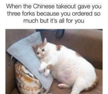 Photo of a white cat with a few orange spots, very obese, laying on a chair with his head on a pillow; he looks as if he is crying, with tears in his eyes. Caption: When the Chinese takeout gave you three forks because you ordered so much but it's all for you.