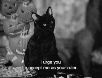 Black and white photo of a little black kitten sitting next to some jack-o-lanterns, with the words, "I urge you to accept me as your ruler."