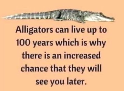 Picture of an alligator across the top of a plain peach-colored background; below it are the words, "Alligators can live up to 100 years which is why there is an increased chance that they will see you later."