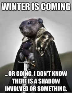 A groundhog wearing a cap and holding a sword. Caption: Winter is coming...or going. I don't know...there is a shadow involved or something.
