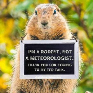 Groundhog holding a sign: I'm a rodent, not a meteorologist. Thank you for coming to my TED talk.