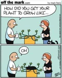 Cartoon, 2 frames; A man and a woman standing on either side of a table with a bowl-shaped plant on it. top frame the man is asking the woman, "How did you get your plant to grow like..." 2nd frame like the first only there's a cat laying in the middle of the plant. The man is saying, "...oh"